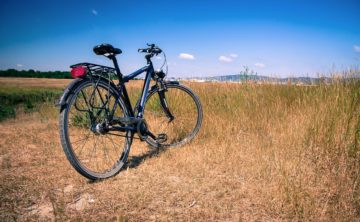 Sekcja rowerowa w „Sokole”!